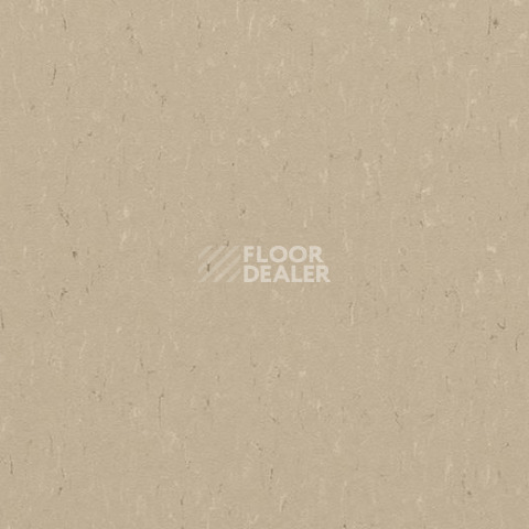 Линолеум Forbo Marmoleum Decibel on Order 363035 angora фото 1 | FLOORDEALER